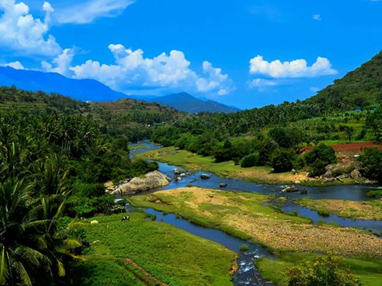 Legal Land Surveying Services